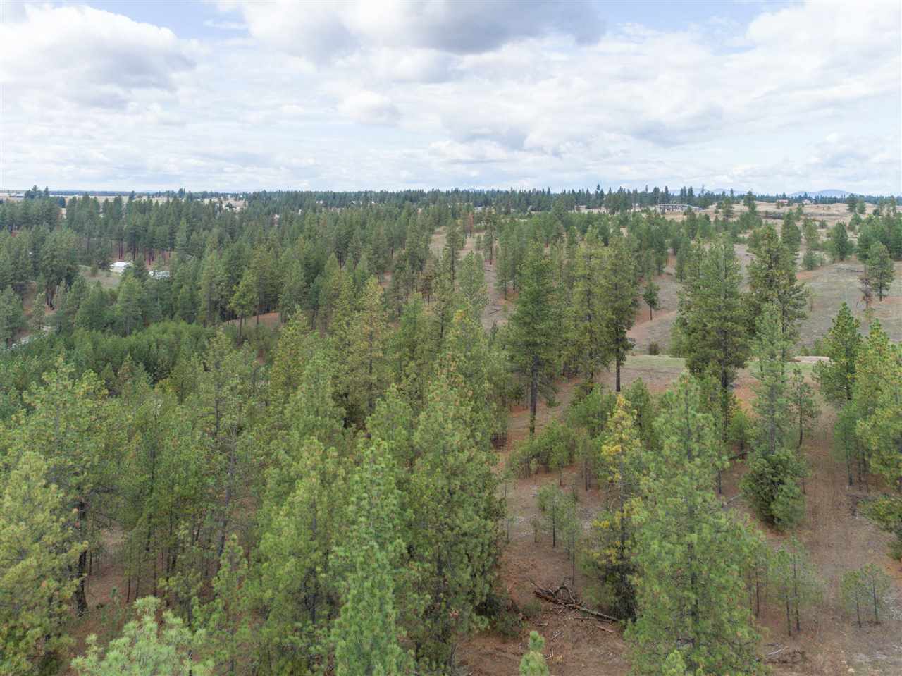 0 North Rambo Road Spokane, WA 99224 - Photo 16 of 20