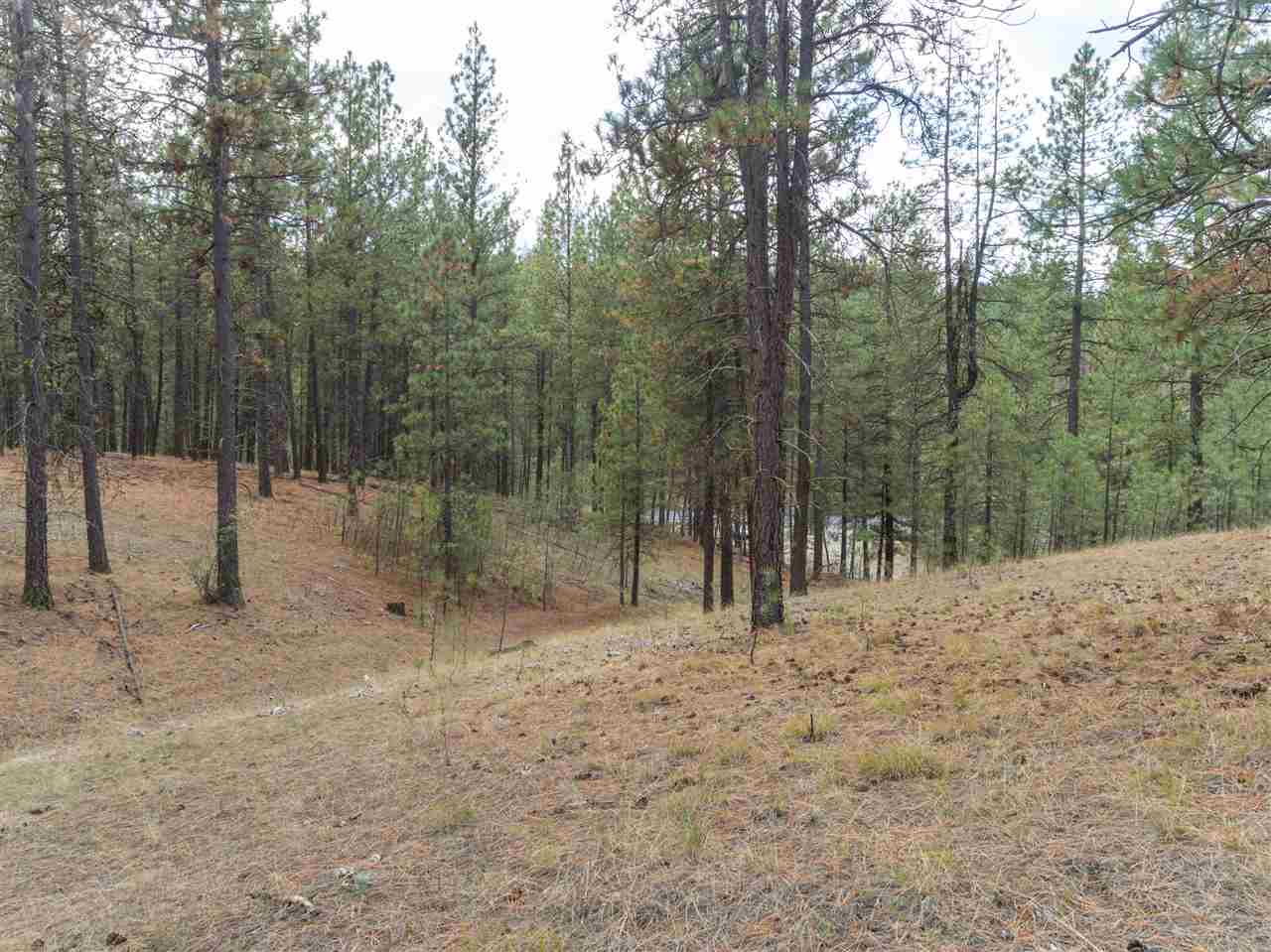 0 North Rambo Road Spokane, WA 99224 - Photo 17 of 20