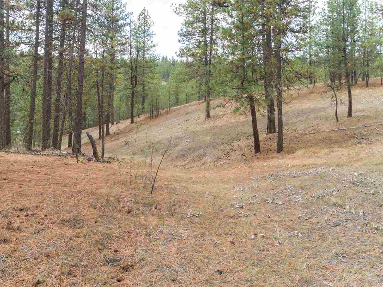 0 North Rambo Road Spokane, WA 99224 - Photo 18 of 20
