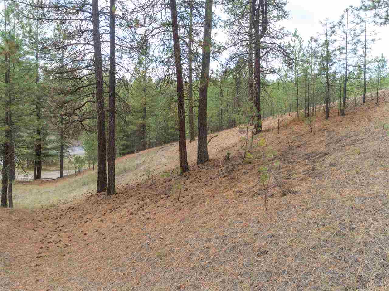 0 North Rambo Road Spokane, WA 99224 - Photo 19 of 20