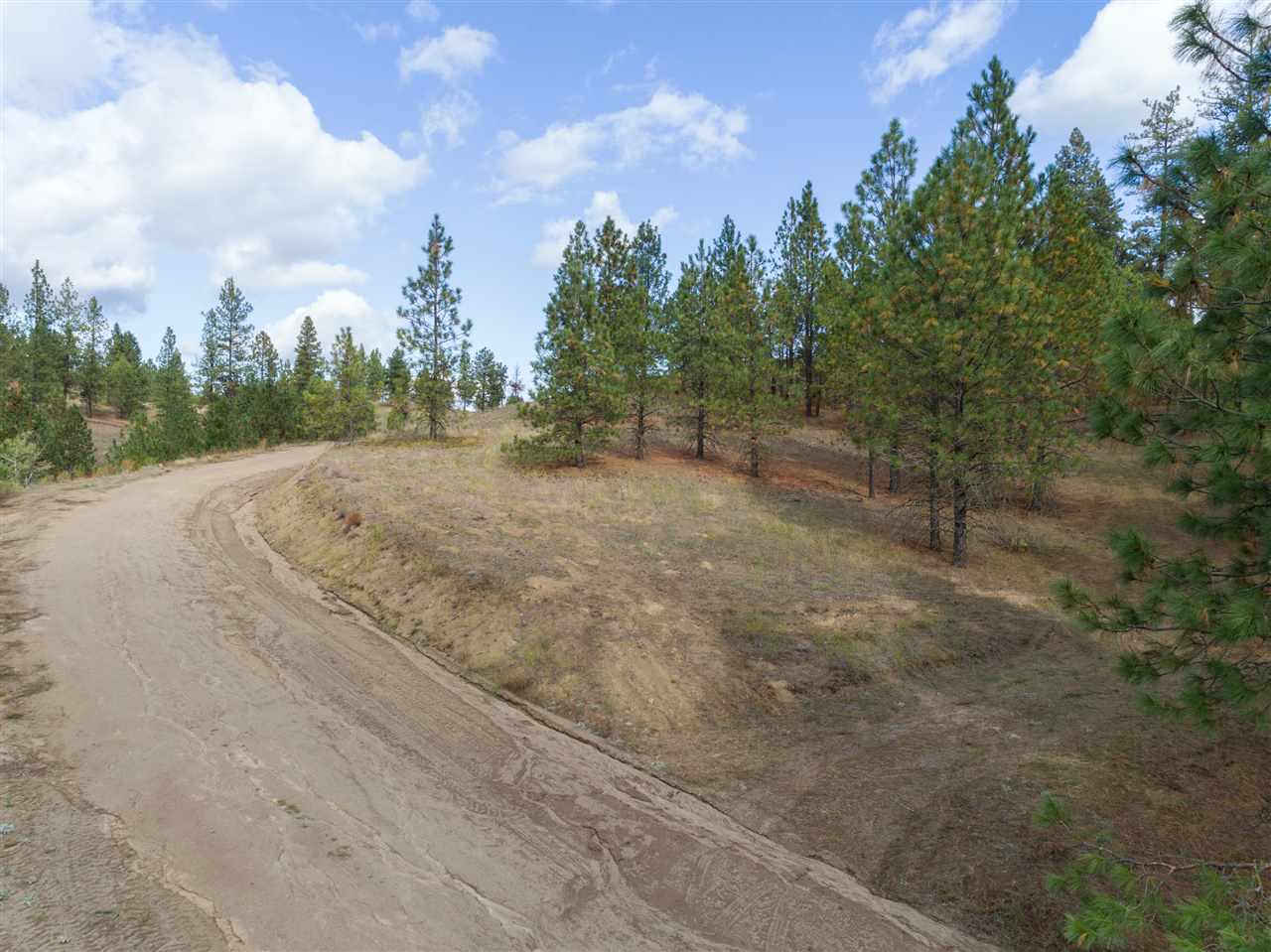 0 North Rambo Road Spokane, WA 99224 - Photo 4 of 20