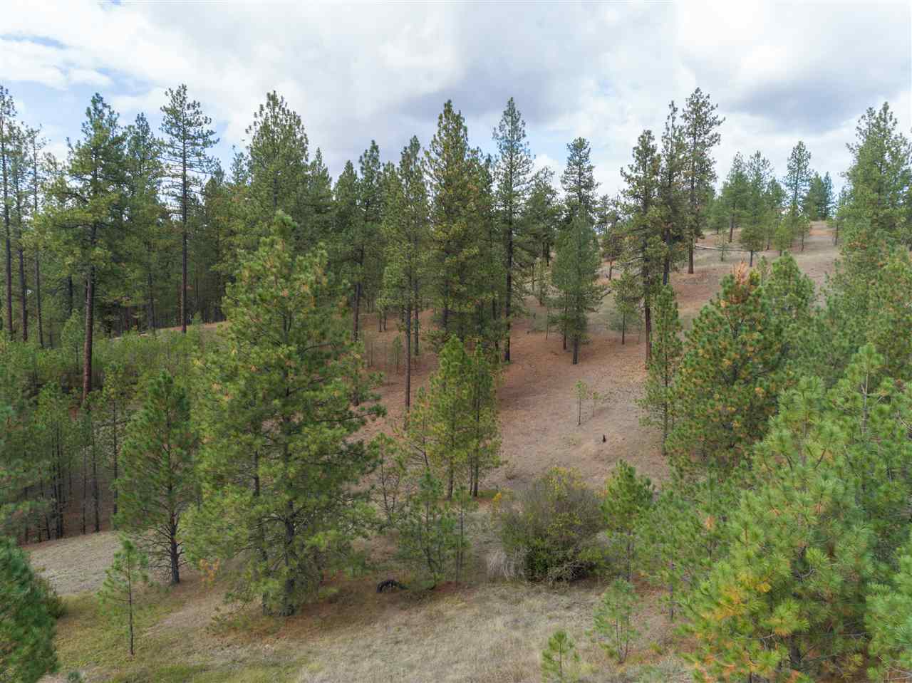 0 North Rambo Road Spokane, WA 99224 - Photo 6 of 20
