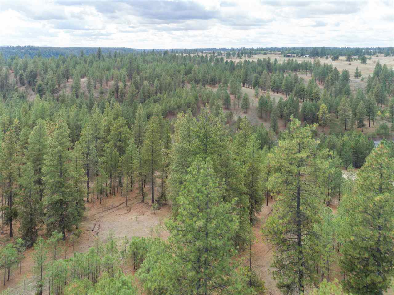 0 North Rambo Road Spokane, WA 99224 - Photo 9 of 20