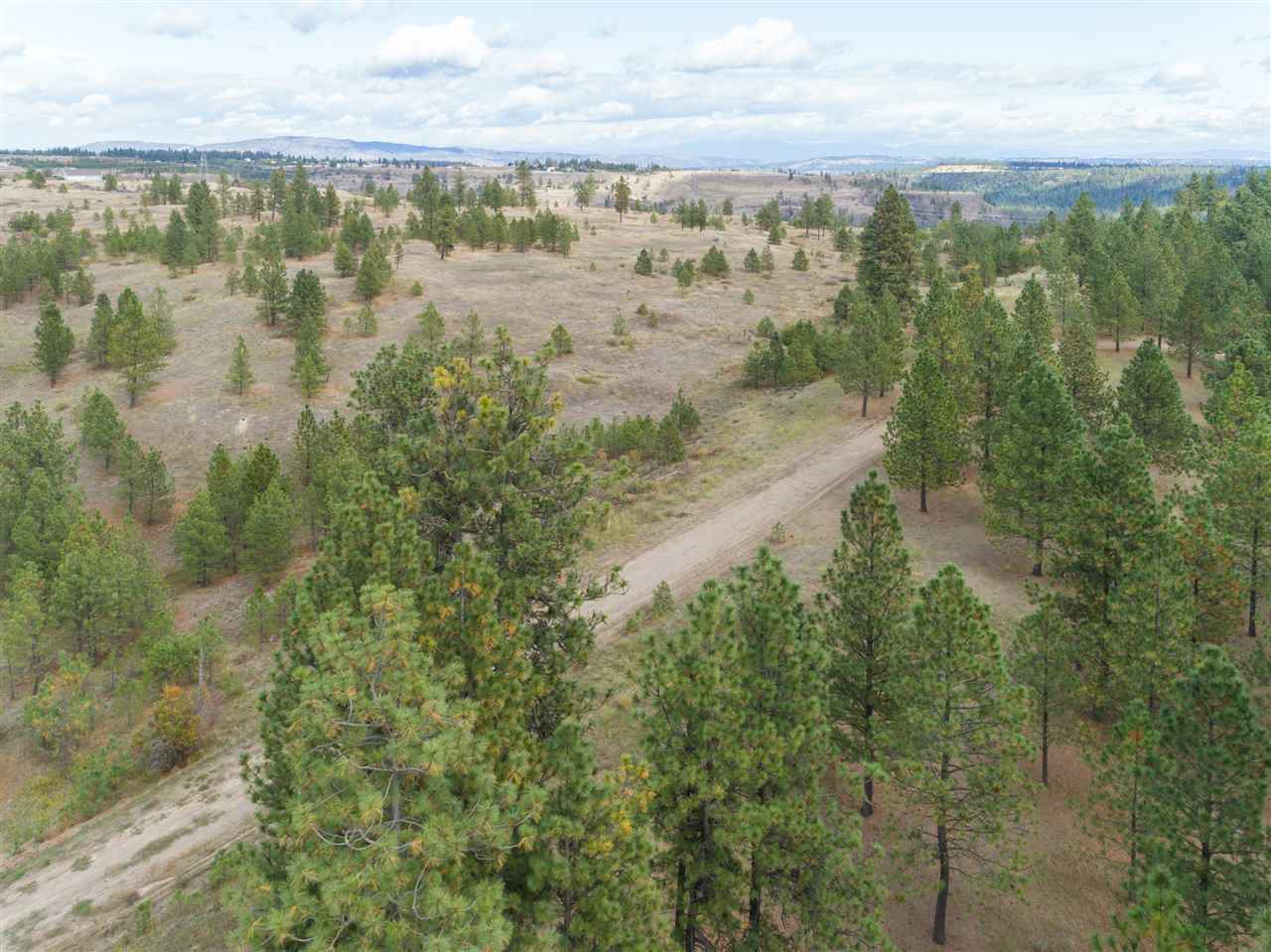 0 North Rambo Road Spokane, WA 99224 - Photo 10 of 20