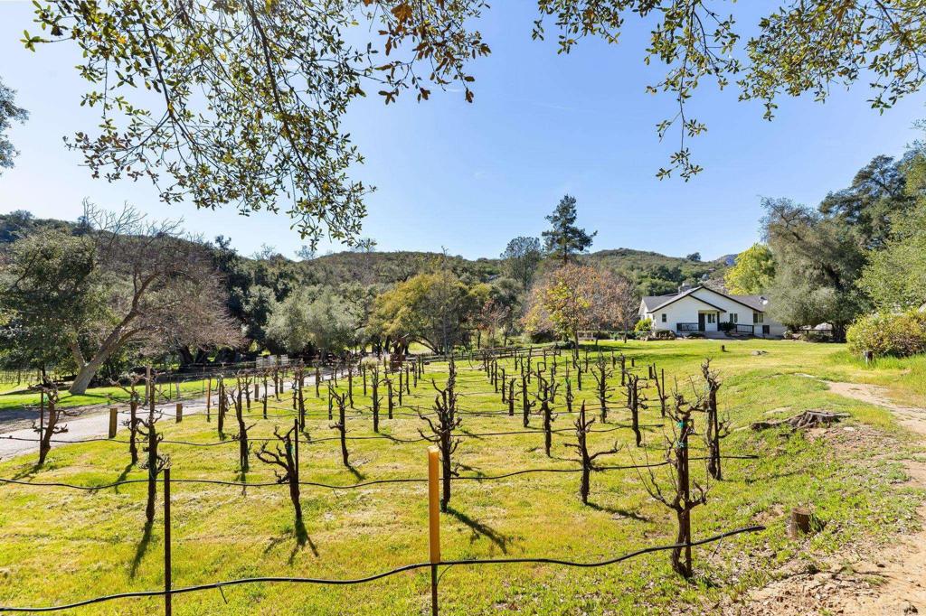 14671 Mussey Grade Road Ramona, CA 92065 - Photo 28 of 36 a view of an ocean