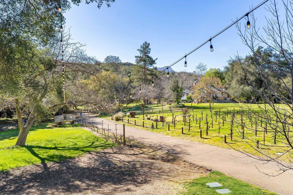 14671 Mussey Grade Road Ramona, CA 92065 - Photo 32 of 36 a view of a swimming pool with a patio and a yard