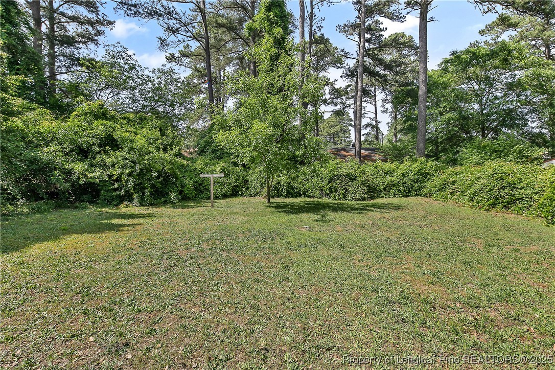 7118 Fillyaw Road Fayetteville, NC 28303 - Photo 45 of 45 a view of a field with trees