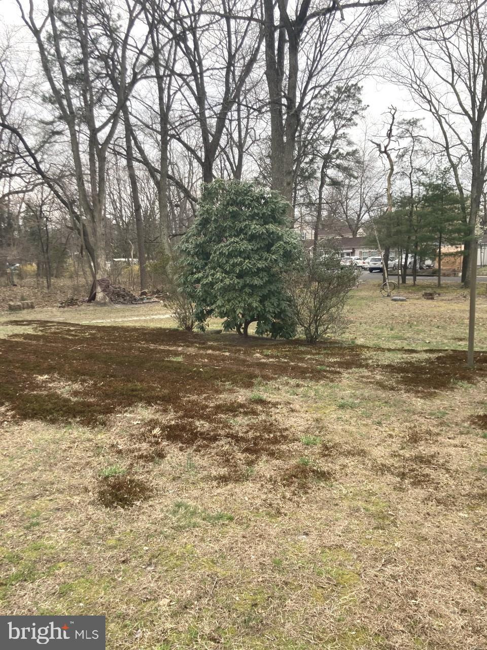 33 Pine Road Gibbsboro, NJ 08026 - Photo 11 of 34 Gallery Image 11