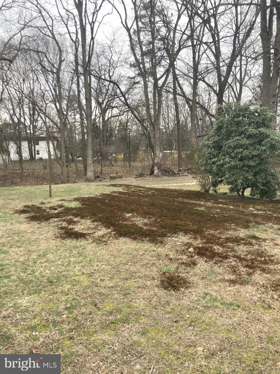 33 Pine Road Gibbsboro, NJ 08026 - Photo 10 of 34 Gallery Image 10