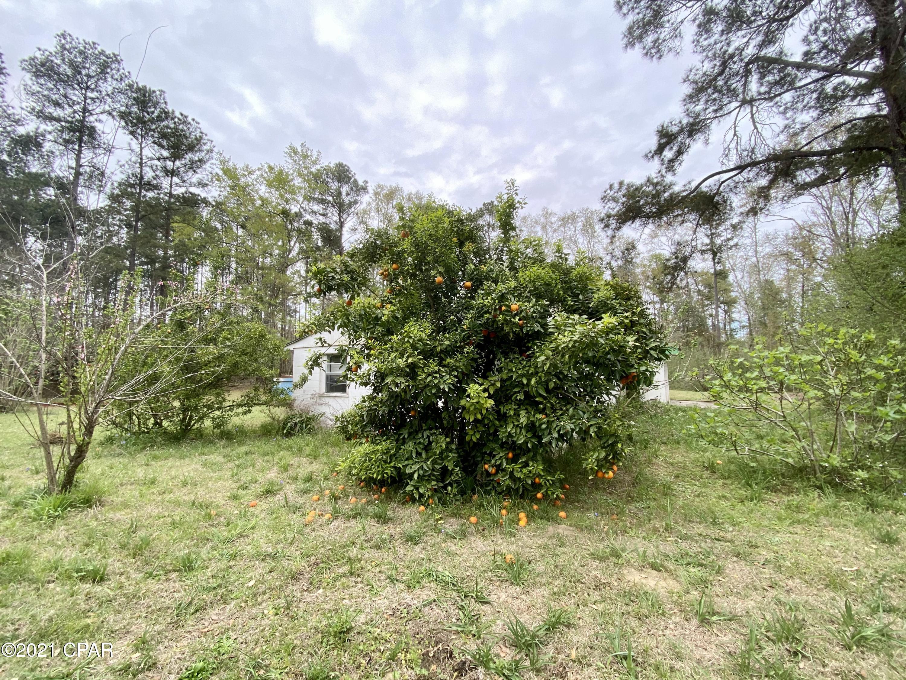 975 Chance Road Chipley, FL 32428 - Photo 27 of 39 Gallery Image 27