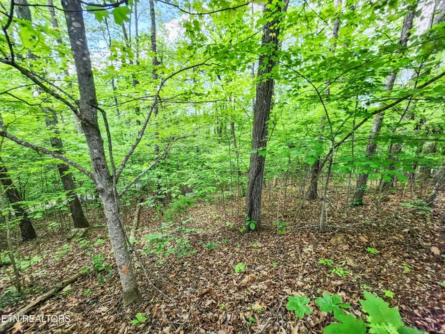 $79,900 | 208 Sara Lane, Maynardville, TN 37807