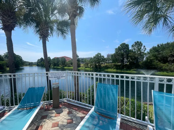 a view of a wooden deck with a palm tree