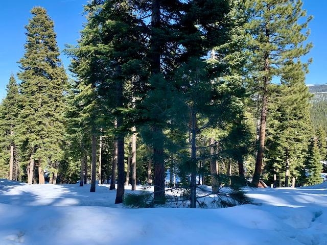 2217 Silver Fox Truckee, CA 96161 - Photo 3 of 5 a view of outdoor space with trees