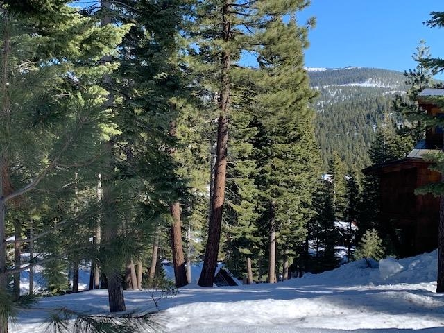 2217 Silver Fox Truckee, CA 96161 - Photo 4 of 5 a street sign on a sidewalk next to a road