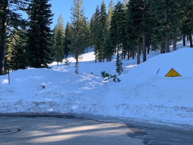 2217 Silver Fox Truckee, CA 96161 - Photo 5 of 5 a view of outdoor space with seating
