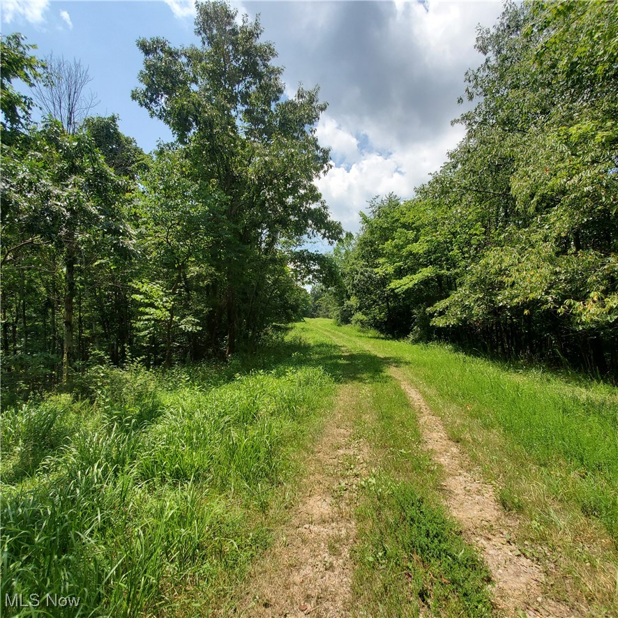 22 County Rt Street St. Marys, WV 26170 - Photo 19 of 27 View of street featuring a wooded view