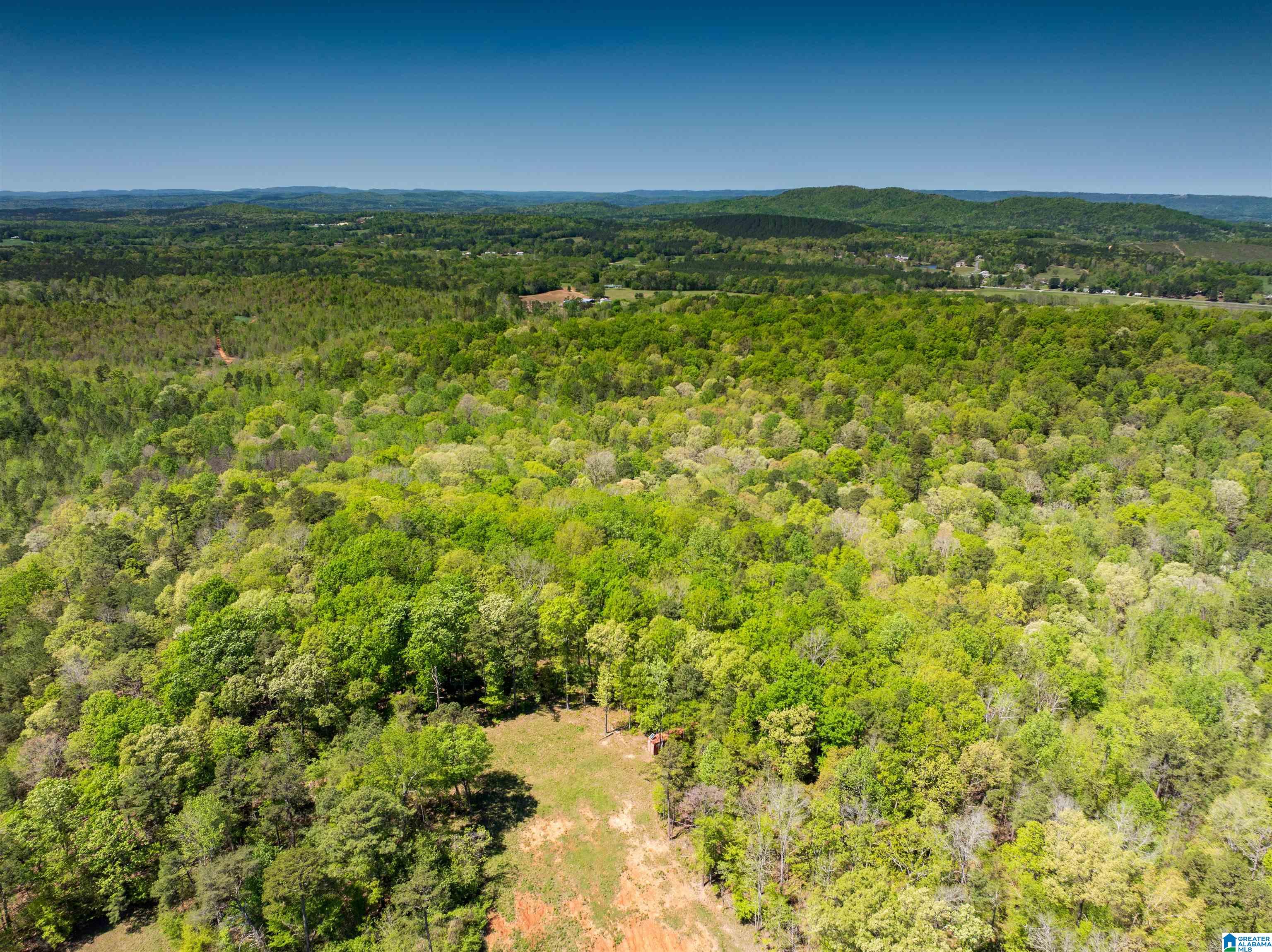 0 Pike Hill Road Ashville, AL 35953 - Photo 5 of 22
