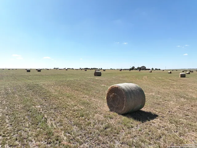 a view of a lake with beach