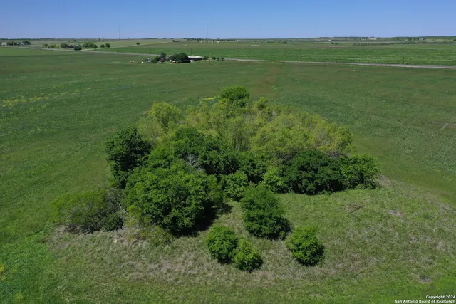 a view of a field with an ocean