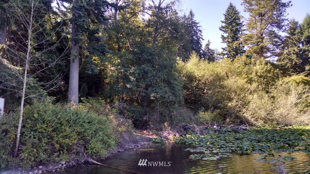 -xxx Deer Lake Road Clinton, WA 98236 - Photo 3 of 6 Gallery Image 3