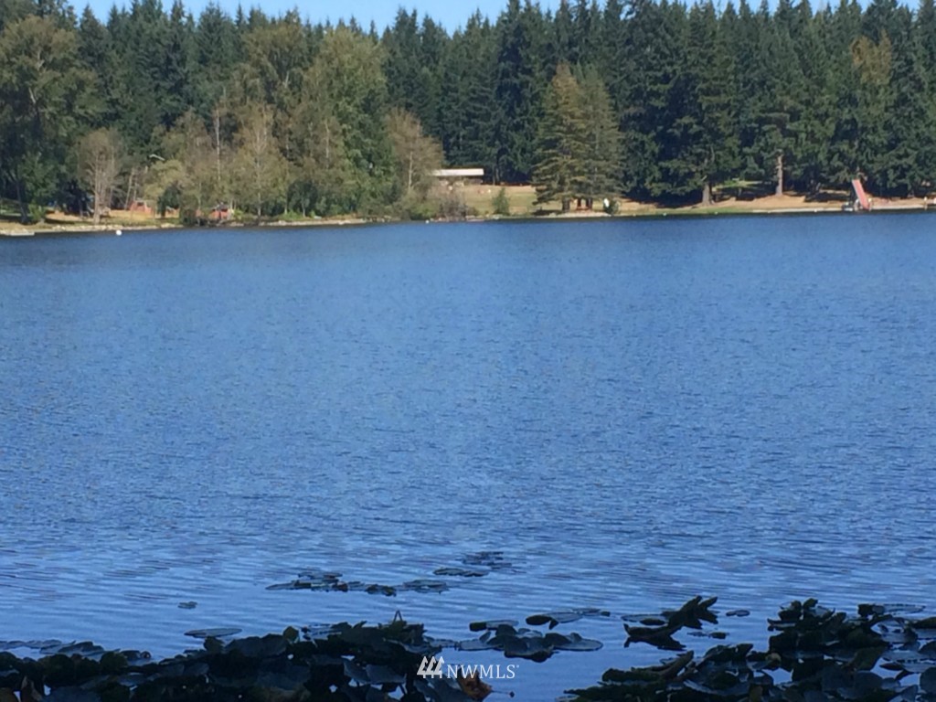 -xxx Deer Lake Road Clinton, WA 98236 - Photo 6 of 6 Gallery Image 6