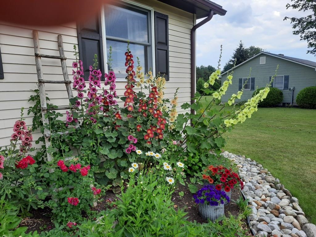 29 Mt Pleasant Drive Brandon, VT 05733 - Photo 27 of 31