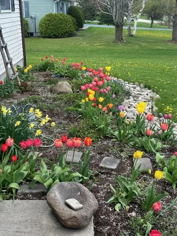 $545,000 | 29 Mt Pleasant Drive, Brandon, VT 05733