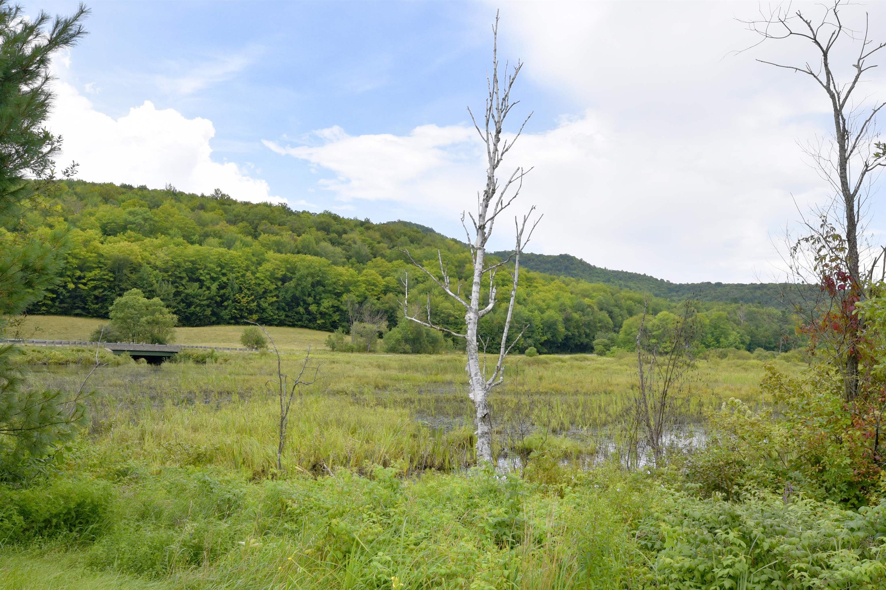 191 Nault Road Barton, VT 05822 - Photo 8 of 14
