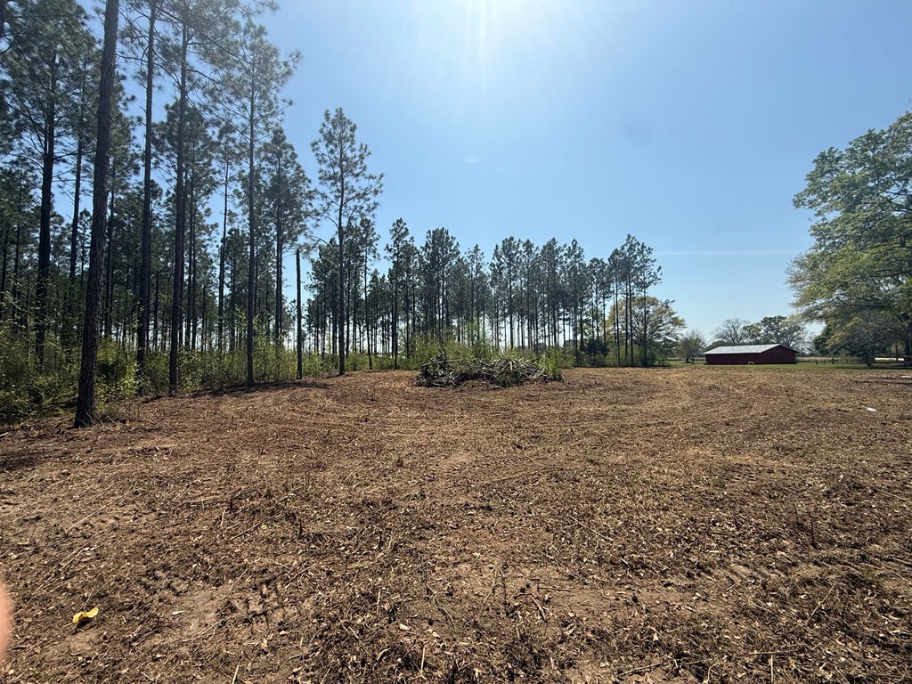 Lot 2 South County Road Slocomb, AL 36375 - Photo 17 of 19