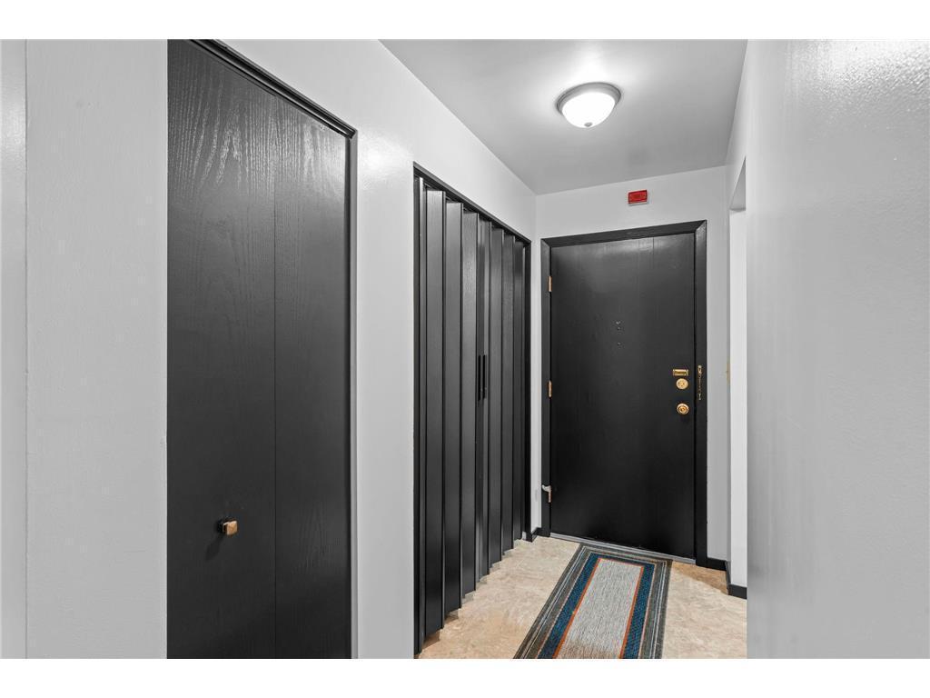 311 Pleasant Avenue, Unit 301 St. Paul, MN 55102 - Photo 3 of 44