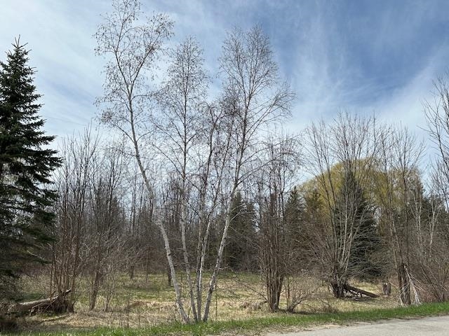 0 Quarterline Road Kewadin, MI 49648 - Photo 5 of 11
