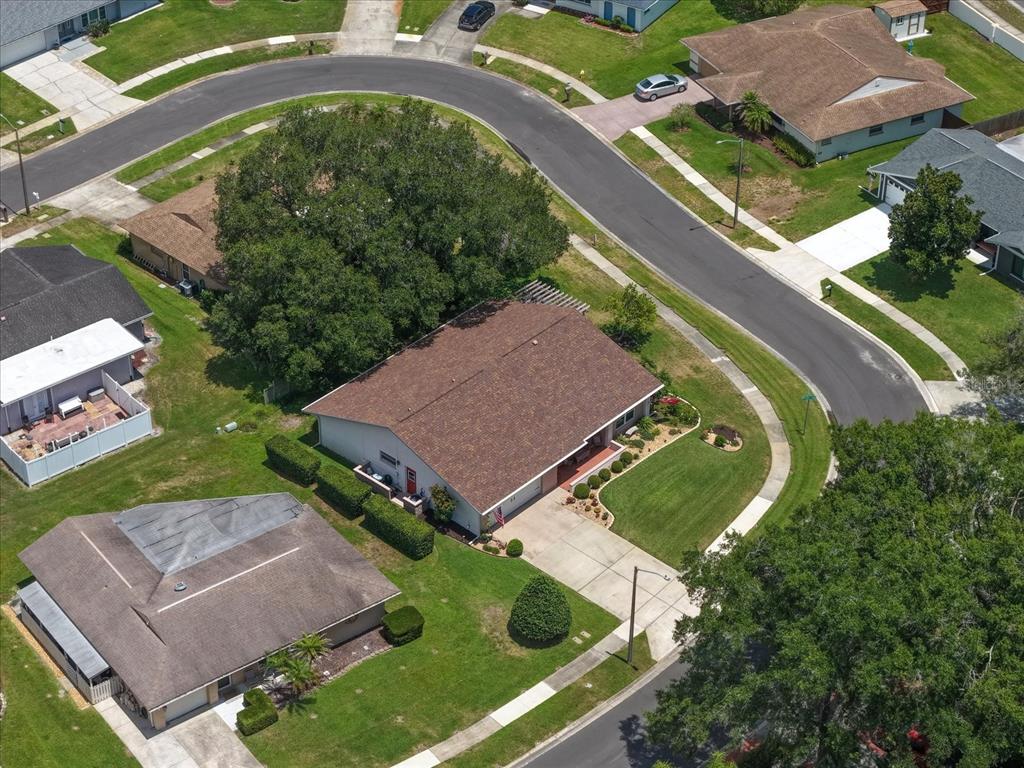 2211 Portside Passage Palm Harbor, FL 34685 - Photo 50 of 55