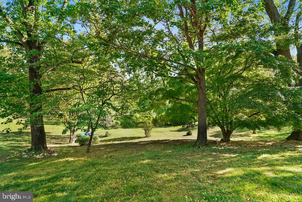 309 Cedar Ridge Drive Oxon Hill, MD 20745 - Photo 6 of 45 Serene green oasis awaits you.