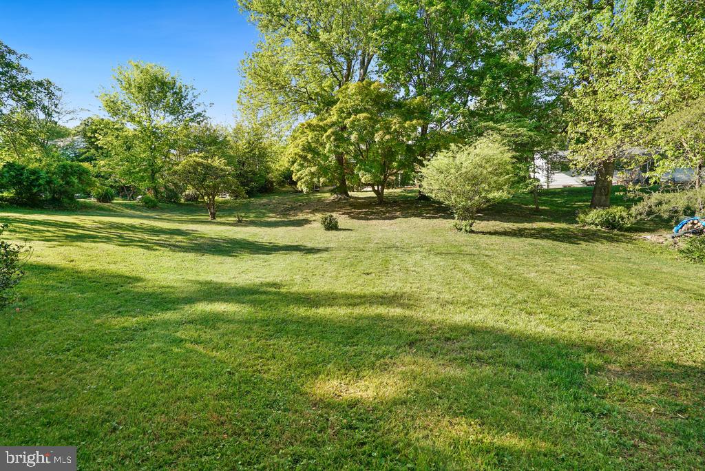 309 Cedar Ridge Drive Oxon Hill, MD 20745 - Photo 7 of 45 Lush green oasis for outdoor living.