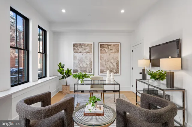 a living room with furniture and a potted plant