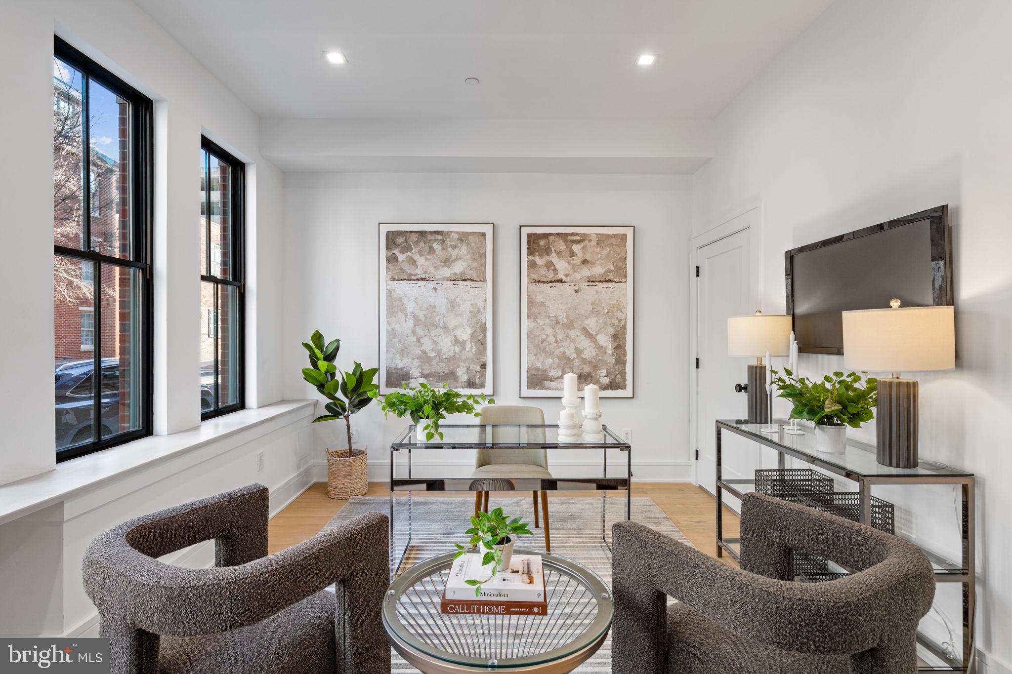 254 North 2nd Street Philadelphia, PA 19106 - Photo 3 of 63 a living room with furniture and a potted plant