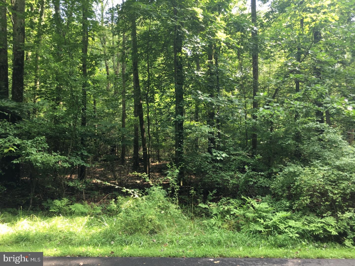 L4-14 Low Road New Hope, PA 18938 - Photo 1 of 1 Gallery Image 1