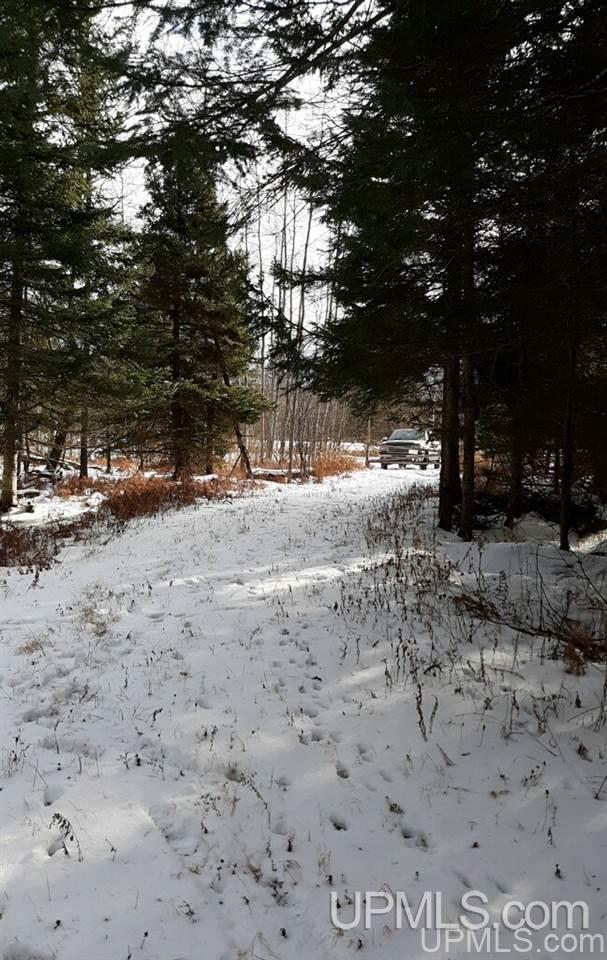 Tbd 140 Acres Off Parkington Road Gulliver, MI 49840 - Photo 2 of 11