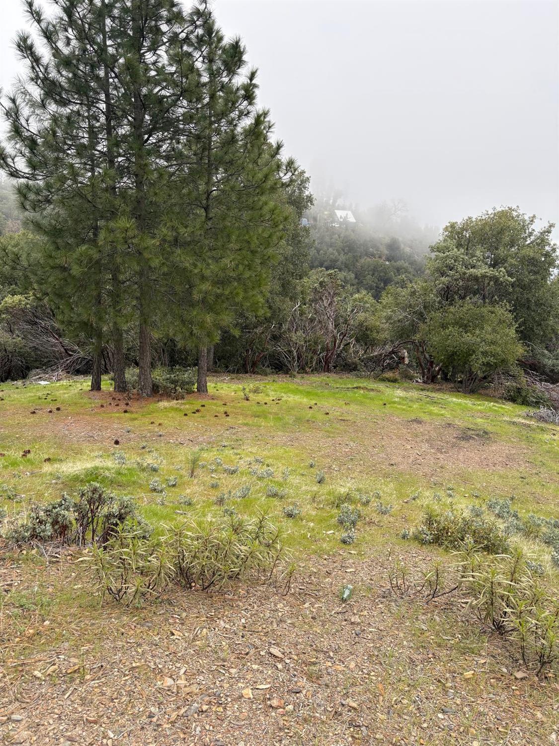 0 Jackass Ridge Road Coulterville, CA 95311 - Photo 2 of 11 Gallery Image 2