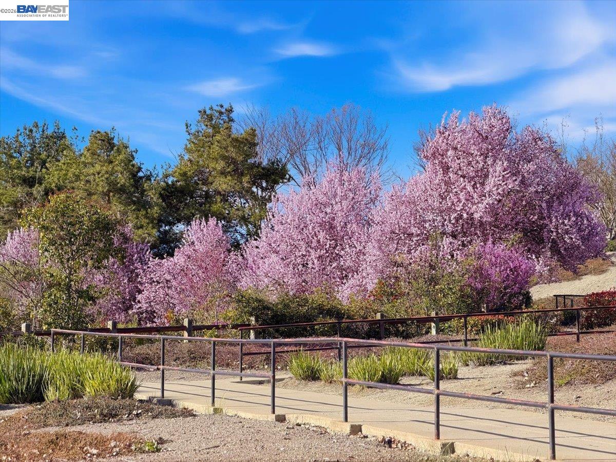 2006 Trefoil Road San Ramon, CA 94582 - Photo 63 of 94