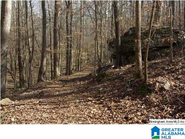 4 Horton Mill Road, Unit 5 Cleveland, AL 35049 - Photo 13 of 28
