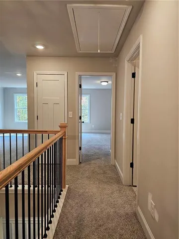 a view of a park with a large trees