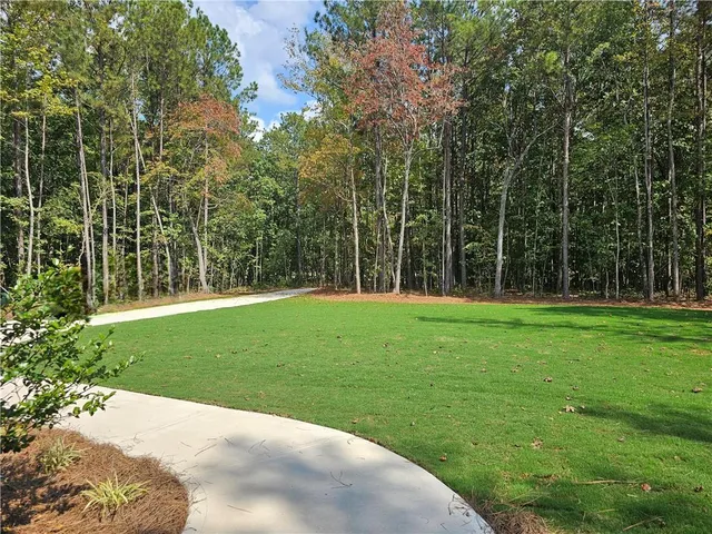 a view of backyard with green space