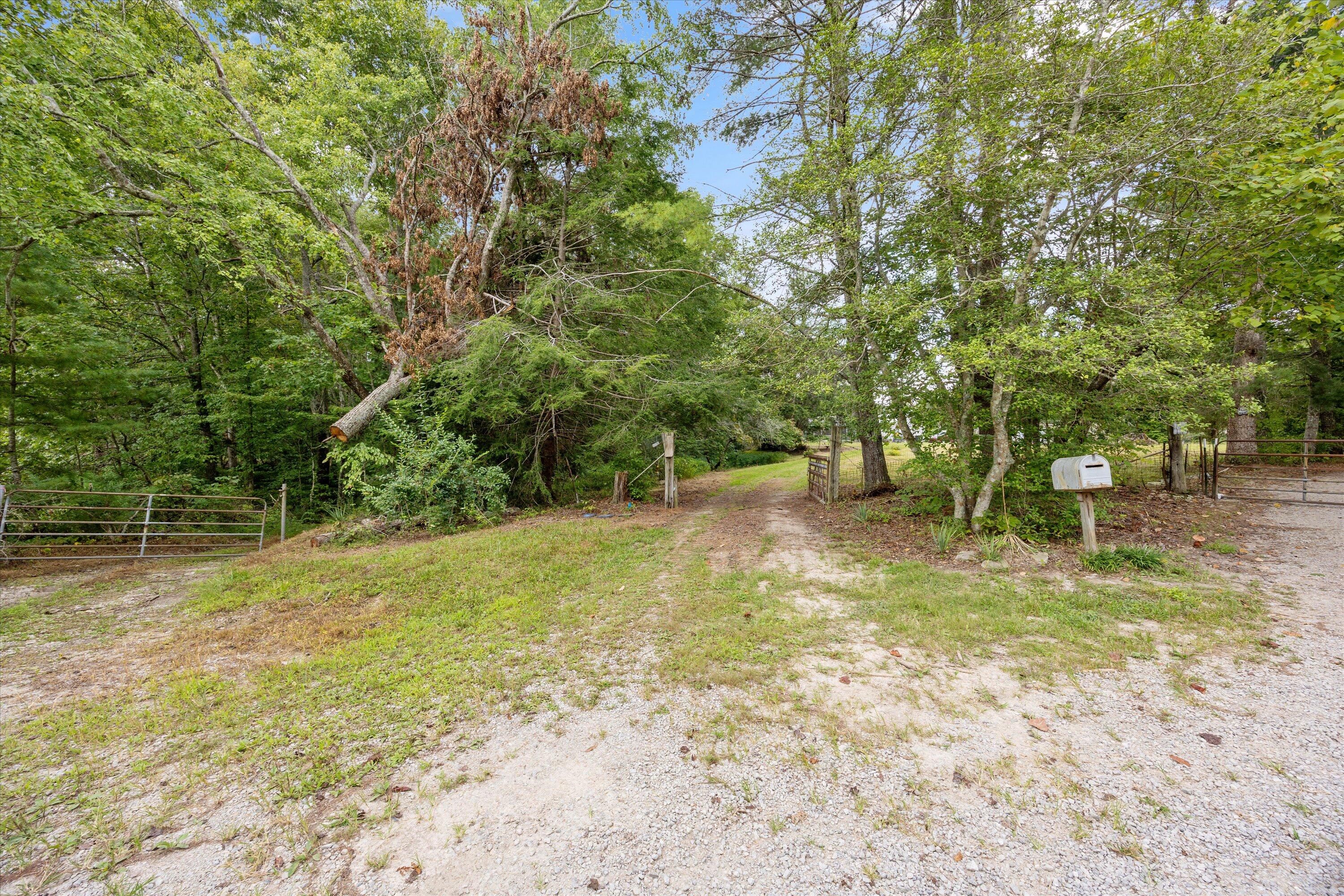 704 Annadel Road Lancing, TN 37770 - Photo 11 of 51 12-704 Annadel Rd-12