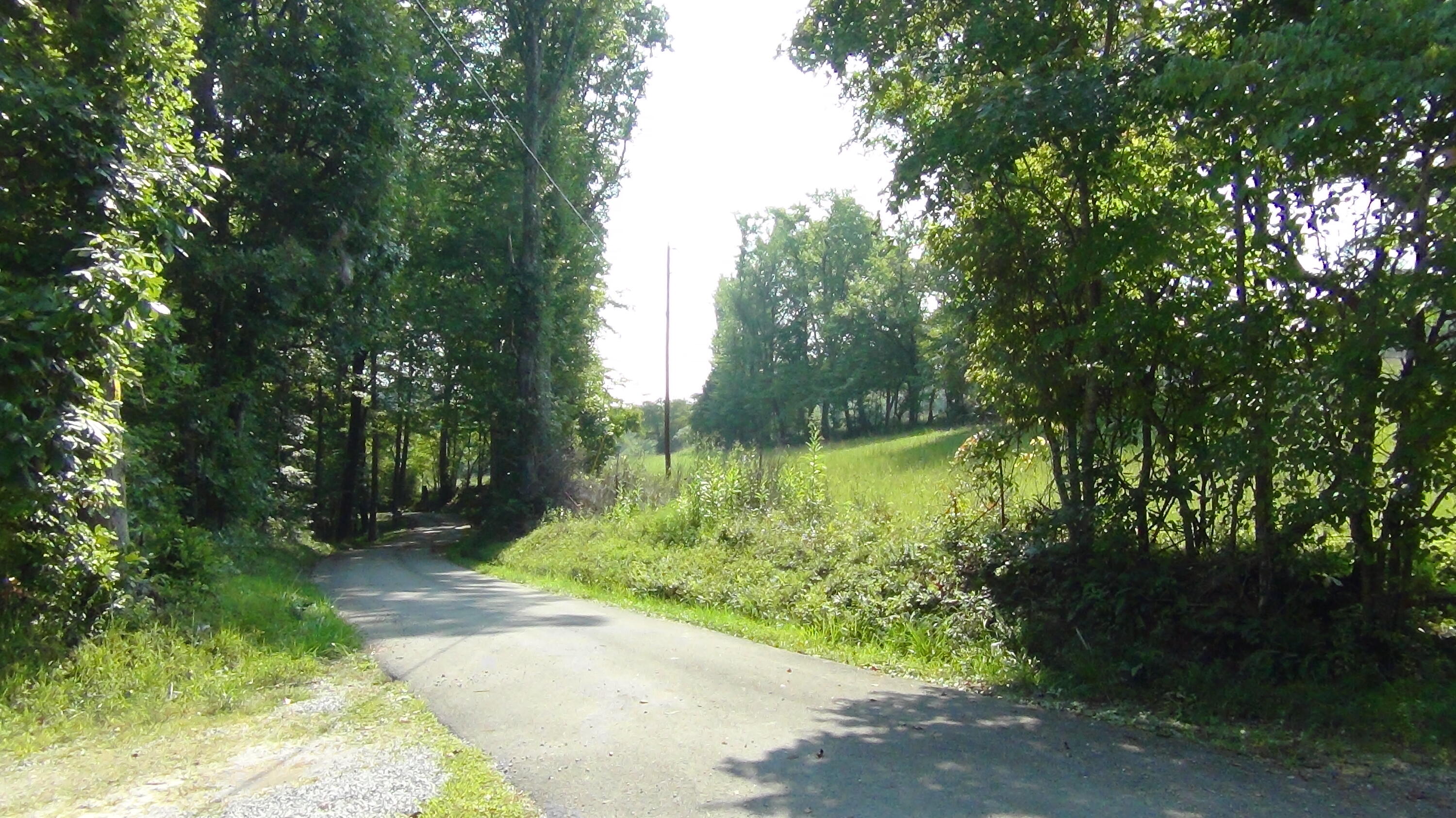 704 Annadel Road Lancing, TN 37770 - Photo 14 of 51 DSC01073