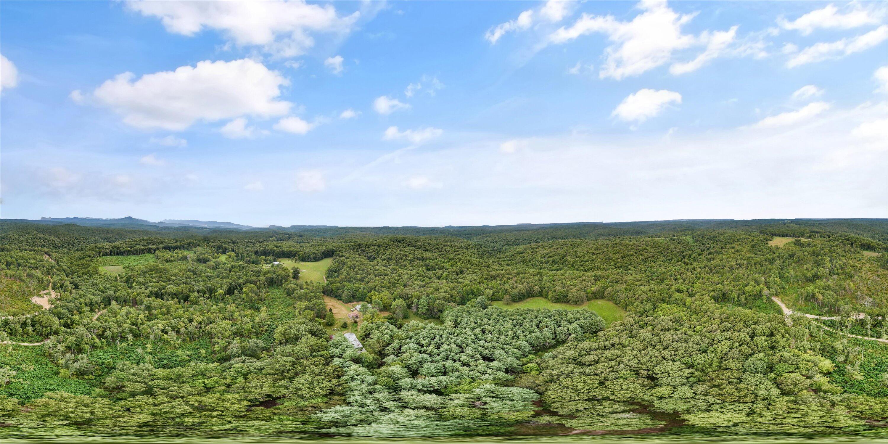 704 Annadel Road Lancing, TN 37770 - Photo 15 of 51 14-704 Annadel Rd-09