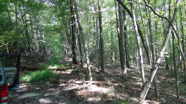 $295,000 | 704 Annadel Road, Lancing, TN 37770