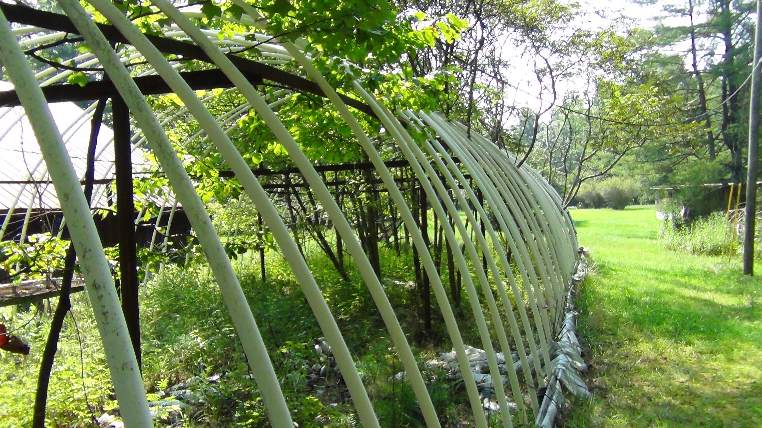 704 Annadel Road Lancing, TN 37770 - Photo 17 of 51 DSC01086