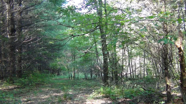 $295,000 | 704 Annadel Road, Lancing, TN 37770