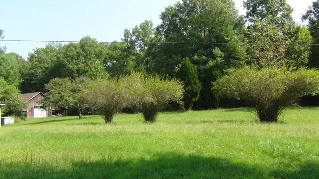 $295,000 | 704 Annadel Road, Lancing, TN 37770